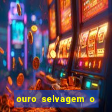 ouro selvagem o que aconteceu na vida